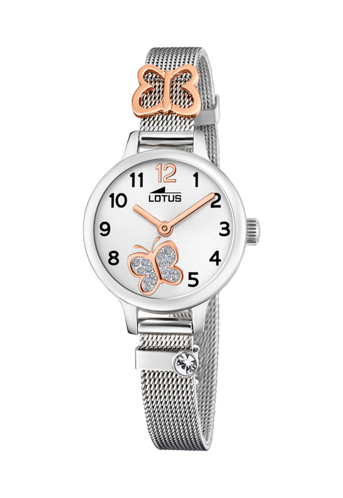 【Lotusさま専用】Pingo de Mel, Sao Luis 挿木苗 Festina Chile | Reloj 18659/2 Lotus Infantil Junior Collection